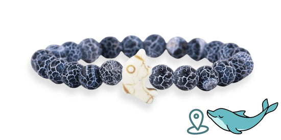 Dolphin Tracking Bracelet