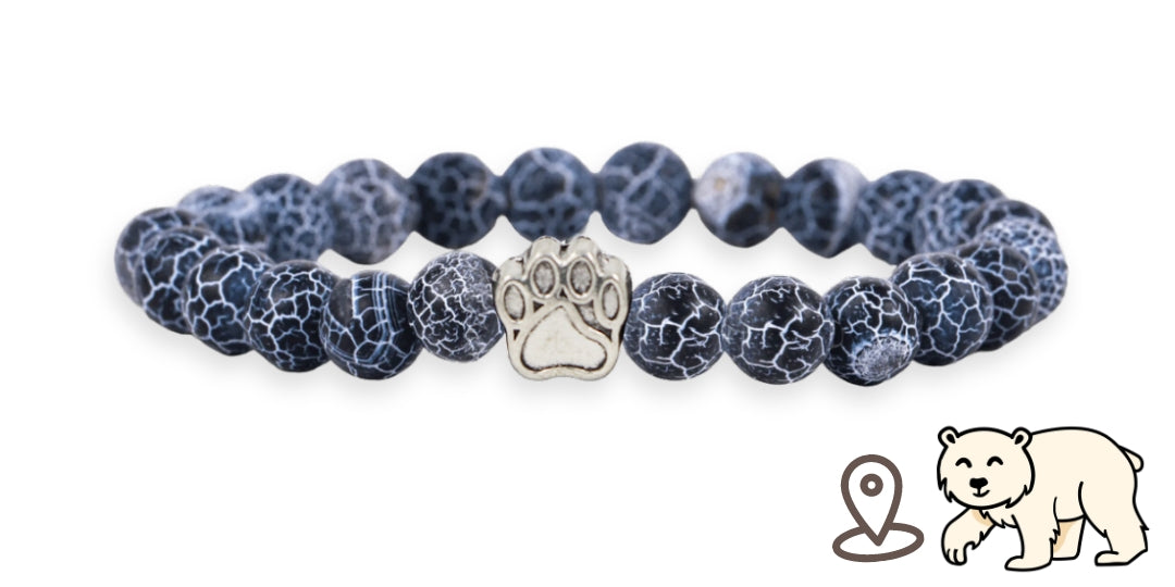 Polar Bear Tracking Bracelet