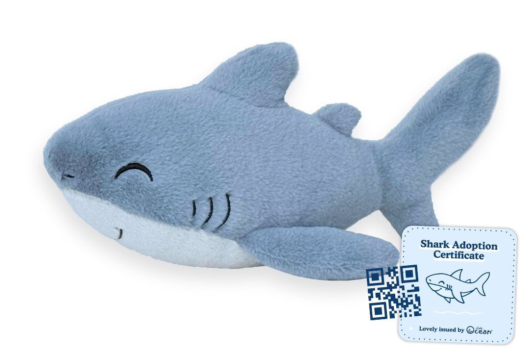 Shark Adoption Plushie