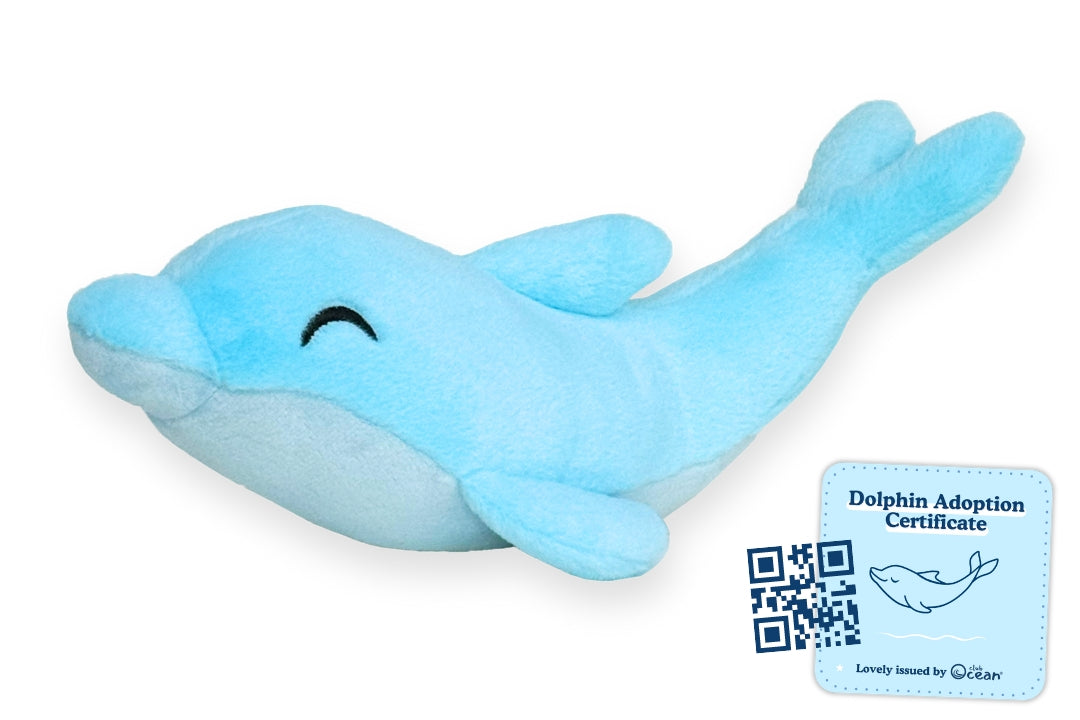 Dolphin Adoption Plushie