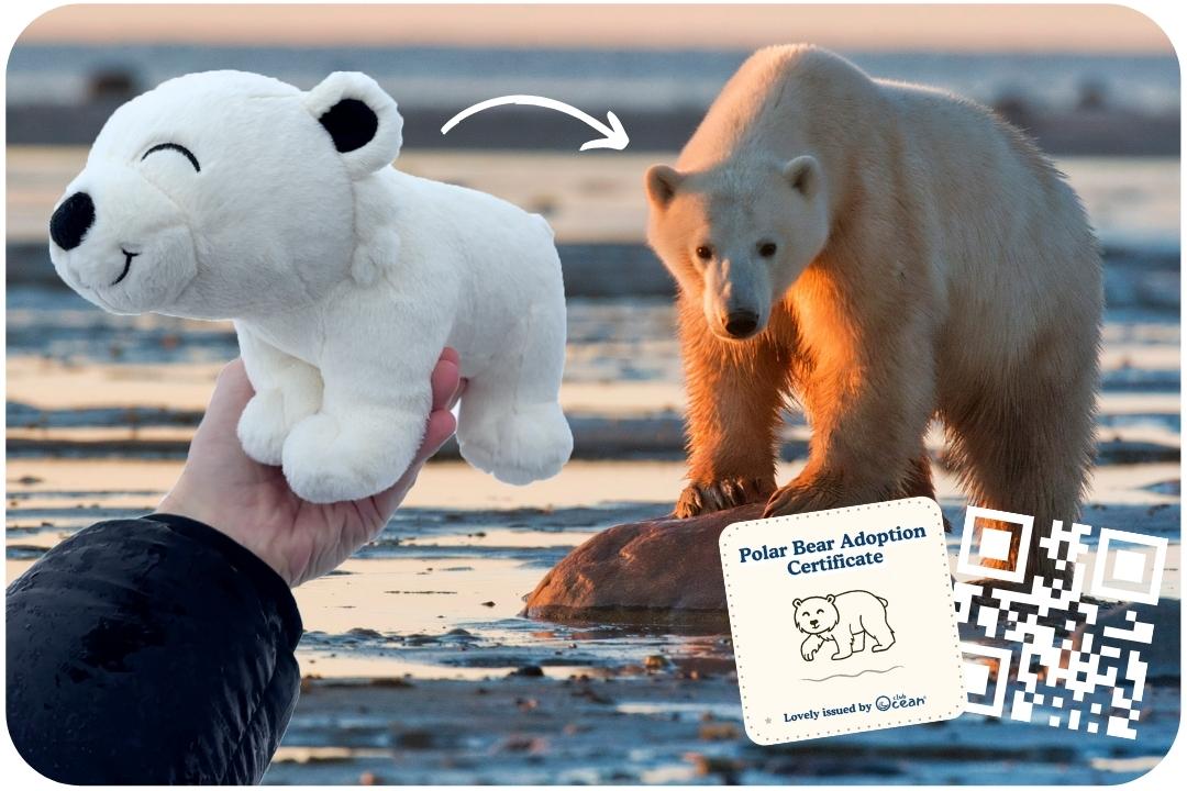 Polar Bear Adoption Plushie