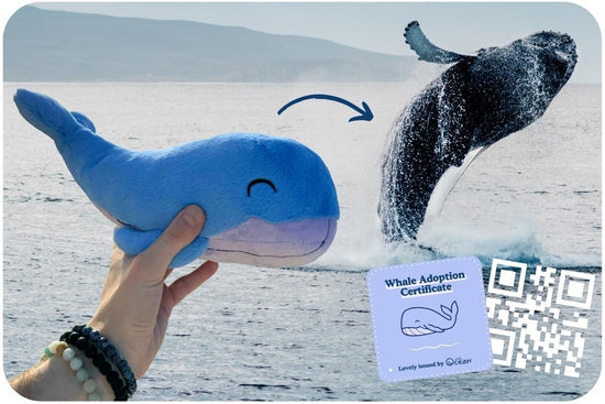 Whale Adoption Plushie